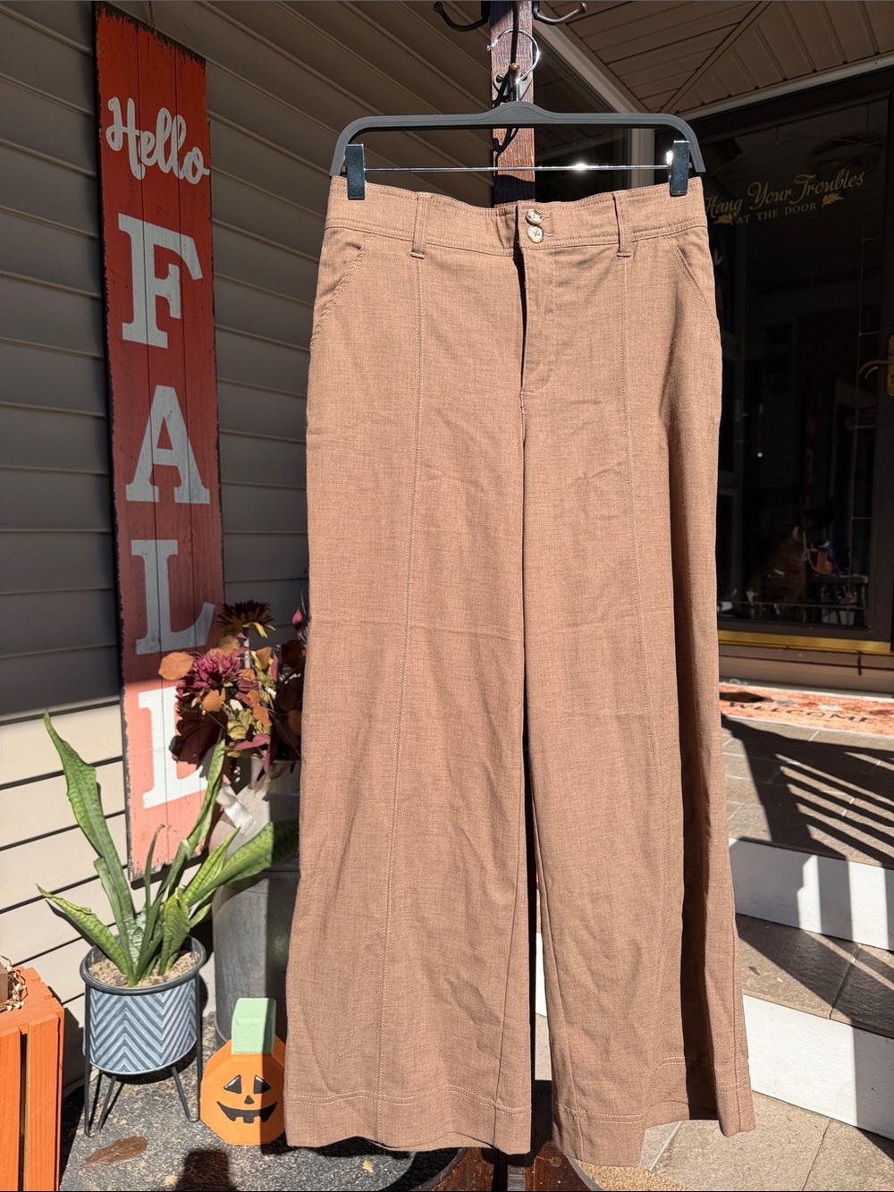 Democracy "Ab"solution Skyride Double Button Wide-Leg Pant in Earthy Brown